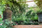 Walkway In Botanic Rose Garden Stock Photo