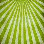 Green Abstract Background Stock Photo