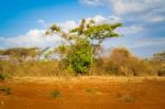 Rural Landscape In Ethiopia Stock Photo