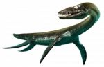 Plesiosaurus Stock Photo