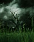 Creepy Forest,3d Illustration Stock Photo