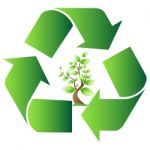 Recycle Symbol With Tree Stock Photo