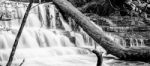 Liffey Falls In The Midlands Region, Tasmania Stock Photo