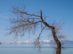 Landscape Of Lake Tahoe Stock Photo