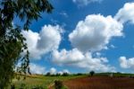 Trees And Mountains On A Bright Sky Stock Photo