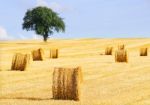 Straw Balls Stock Photo