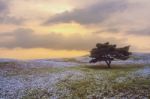 Hitachi Ibaraki Seaside Park Japan Stock Photo