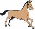 Horse Kneeling Down Cartoon Stock Photo