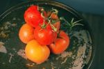 Red Ripe Fresh Tomatoes Stock Photo