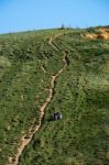 Two People Sitting Half Way Up A Cliff At Lyme Regis Stock Photo