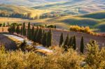 Tuscany Stock Photo