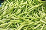 Green Beans Phaseolus Vulgaris L Stock Photo
