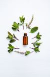 Holy Basil Essential Oil In A Glass Bottle With Fresh Holy Basil Stock Photo