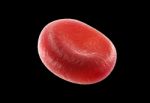 Blood Cells Stock Photo