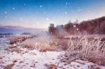 Winter Misty Dawn On The River. Snowflakes, Snowfall. Sunny Wint Stock Photo