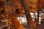 Newell Creek In Tasmania Stock Photo