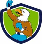 Bald Eagle Boxer Pumping Fist Crest Cartoon Stock Photo