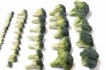 Bunch Of Broccoli Vegetables Aligned In A Perfect Way Stock Photo