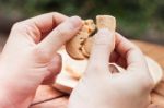 Woman's Hand Holding  Cashew Cookies Stock Photo