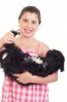 Girl Playing With Dog Stock Photo