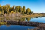 Schwabachers Landing Stock Photo