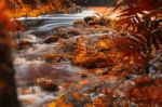 Newell Creek In Tasmania Stock Photo