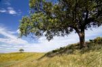 Rural Countryside Stock Photo