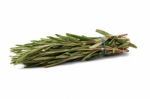 Rosemary Stock Photo