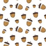 Acorn Pattern By Hand Drawing On White Backgrounds Stock Photo