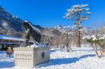 Seoraksan, Korea - February 7: Seoraksan National Park In Winter Location On Gangwon, South Korea On February 7, 2016 Stock Photo