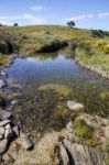 Beautiful Spring View Of A Countryside Stream Of Water Located In Portugal Stock Photo