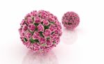 Papilloma Virus Stock Photo