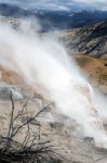 Mammoth Hot Springs Stock Photo