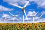 Windmill In A Field Of Sunflowers Stock Photo