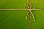 Banana Leaf Stock Photo