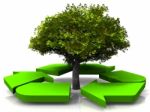 Recycling Symbol Around Tree Stock Photo