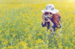 Woman Taking Photos At A Rapeseed Flowers. Vintage Tone Style Stock Photo