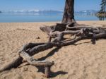 Landscape Of Lake Tahoe Stock Photo