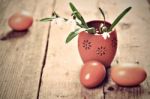 Bunch Of Snowdrop Flowers And Eggs Stock Photo