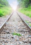 Plant On The Railway Stock Photo