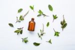 Holy Basil Essential Oil In A Glass Bottle With Fresh Holy Basil Stock Photo