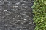 Granite Tile Wall And Green Leaf Stock Photo