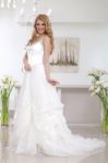 Young Beautiful Bride Stock Photo