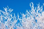 Landscape In Winter,deogyusan In Korea Stock Photo