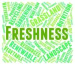 Freshness Word Meaning Fresher Raw And Text Stock Photo