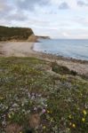 Natural Coastline Of Algarve Stock Photo