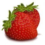 Strawberries Illustration Stock Photo