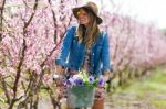 Beautiful Young Woman With A Vintage Bike In The Field Stock Photo