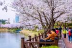 Seoul, Korea - April 9, 2015: Lotte World Amusement Park And Cherry Blossom Of Spring, A Major Tourist Attraction In Seoul, South Korea On April 9, 2015 Stock Photo