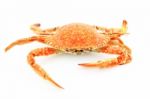 Crab Stock Photo